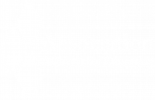 ACE-Branding-02 (1)